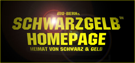 Schwarzgelb-Homepage-Logo mit prollig-geilem Lensflare-Effekt